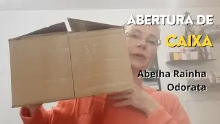 PEDIDOS DA CAMPANHA 03/2024 ABELHA RAINHA E ODORATA.