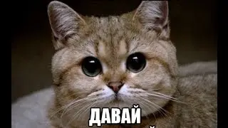 Самое смешное видео. Приколы. #4