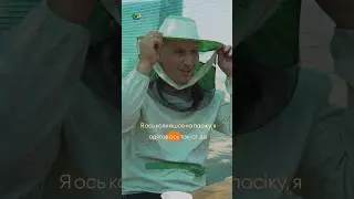 Солодкий бізнес | Пасіка на лежаках 500+ | родина Томєвих #бджоли #пасіка #пасіканалежаках500+