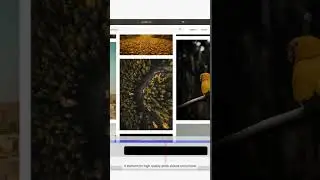 Edit FASTER using PXL READY's Extension designed for Adobe! 