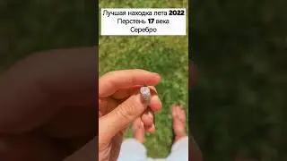 Такое могли позволить только избранные...