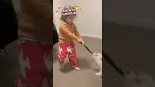 Baby Challenges Dog To Tug of War 2: Try Not To Laugh ! | #6 | funny baby and dog videos