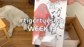 Unboxing A TIGER’s TALE vol. 1.