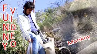 monkey funny moments !! बंदर मज़ाकिया क्षण !!