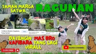 Datengin Masbro Kapibara yang lagi Viral I @kebunbinatangragunan@RagunanZoo_