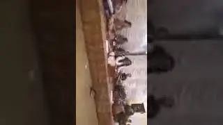 Master Ali Haider madini program pa Bagan Kurram Agency