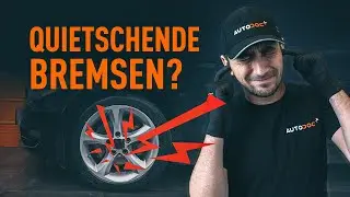 Warum quietschen Ihre Bremsen? | Tipps von AUTODOC