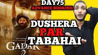 Gadar 2 Day 75 Advance Booking | Gadar 2 Day 75 Box Office Collection 