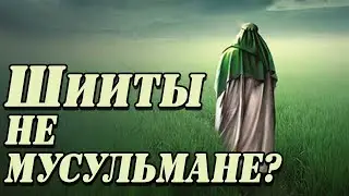 Шииты не мусульмане ? В чем разница между СУННИТАМИ и ШИИТАМИ ? |Вера Ислам