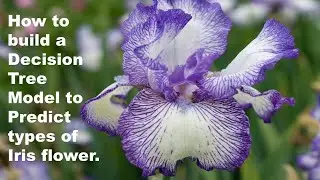 How to build a Decision Tree Model to predict the different types of Iris Flower.