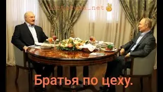 Путин & Лукашенко.  Встреча в Сочи. Протесы в Беларуси. Взгляд со стороны.
