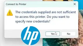 How to get past the Credentials error when installing shared HP printers on Windows 11