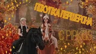 ПОКУПКА ПЕРШЕРОНА!/SSO/Видео с Pipkqs
