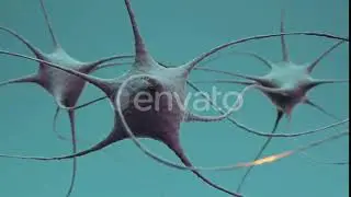 Neuron Cluster Signal Transfer Inside Brain 2 | Motion Graphics - Videohive template