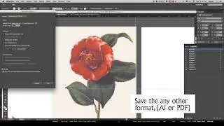 Can’t save the illustration  The request transformation would make some objects fall completely off