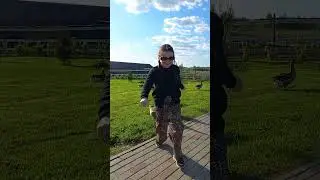 #ГУСИ
