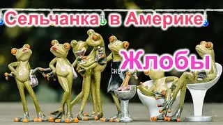 Сельчанка в Америке. Всё по кругу
