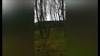 как то и я попробывал побегать по пенькам))