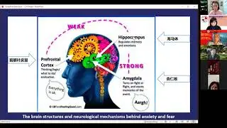 Beijing Association USA Community Service Seminar :How to improve mental health daily? 美国北京联合会公益讲座