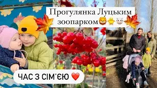 ЛУЦЬКИЙ ЗООПАРК🦁🍁ПРОГУЛЯНКА З ДІТЬМИ👨‍👩‍👧‍👦НАШІ ОСТАННІ НОВИНИ🍁