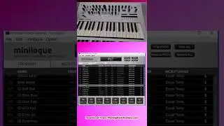 Exclusive Preview: New Korg Minilogue Sound Pack!  #korgsynth #minilogue
