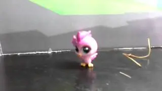 Мои любимые петшопы ☺