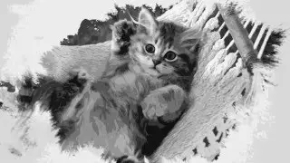 Кошачий манифест