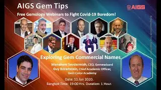 "AIGS Gem Tips" program - Free Gemology Webinars featuring  Gemewizard®