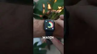 Is Your Apple Watch Working? ⌚️🤔