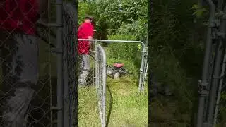 Honda Mower Review Over Grown Weeds