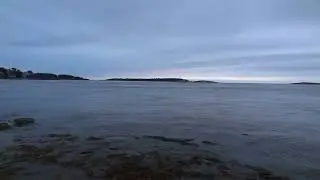 Seal at Fort Popham