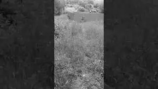 ALWAYS call your hits in airsoft #airsoft #shorts #milsimairsoft #hit #ouch #fall #fakegun