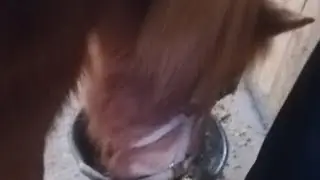 Ich Erzähle Euch Was Tolles Und Spiele Sso