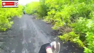 tronco desvía a motero biker