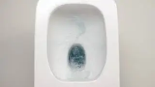 Безободковые унитазы Roca