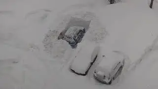 Счастливое владение автомобилем.