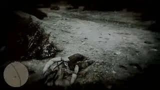 Red Dead Redemption 2_20240530210234