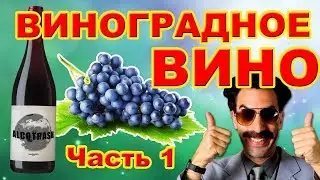 Виноградное вино. Часть 1