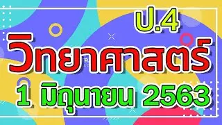 DLTV ป.4 วิทยาศาสตร์ วันที่ 1 มิ.ย. 2563 การจำแนกสัตว์ 1 l เรียนออนไลน์