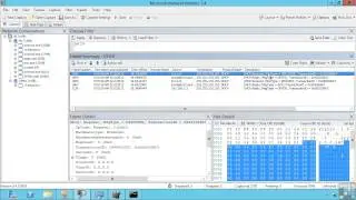 Assigning IP Addresses Using DHCP