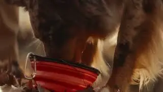 Camping ASMR with SoundSlayer
