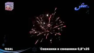 ТС641: Снежинки и смешинки