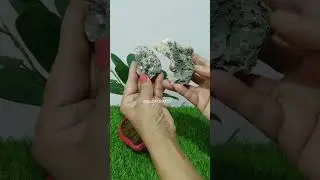 Tiny Ganpati Topiary/Topiary/Ficus Topiary/#Ganpati #Ganesh Chaturthi/#hildacrafty #topiary