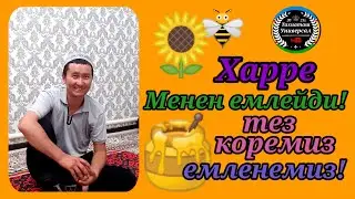 🐝ХАРРЕ МЕНЕН🐝 Емдейтин емши,Хатепте! 