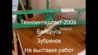 Таланты XXI Союзного государства 2009 ч1 Выставка