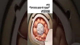כשאתה מבקש מהספר לספר אותך