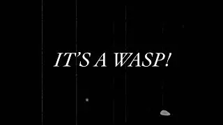 The Man and The Wasp - Joseph Hunt (Level 2 Film)