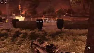 Call of Duty: Modern Warfare 2 - Wine D9VK - Live