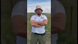 Зко Аксай