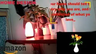 AMAZON HOME DESIGN